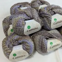 【10玉セット】Callisto カリスト Dream Premium ウール