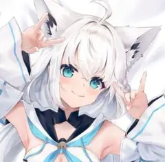 2026年最新】かぼすライム 抱き枕の人気アイテム - メルカリ