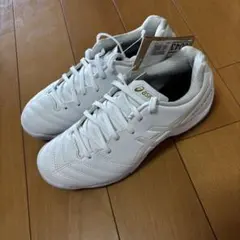 新品未使用品 アシックス DSライト ジュニア GS TF 22cm ホワイト