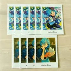 紫之創 ぱしゃっつ vol.6