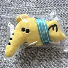 前田道路黄色いゾウ ぬいぐるみ マスコット 第37回出雲駅伝