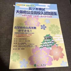 Item thumbnail for item 66cd62d9-8948-4dd7-be15-69876d6f521e