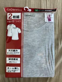 GROWWELL 丸首半袖Tシャツ 2枚組 Lサイズ
