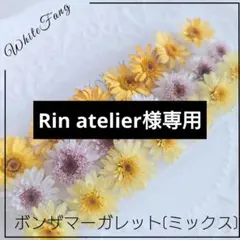 Rin atelier様 リクエスト 2点 まとめ商品