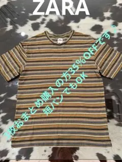 ZARA メンズ マルチストライプTシャツ サイズL未使用に近