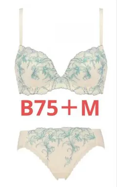 新品　天使のブラ　スリムライン　極上ライト634　上下セット