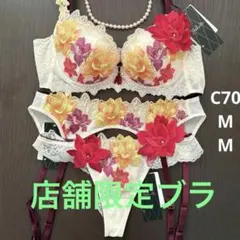 新品】wacoal サルート 30 ブラ ソング ガーター G75L CR - メルカリ