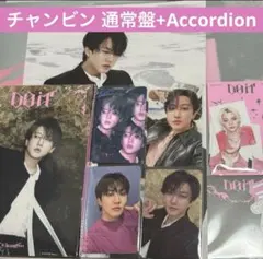 チャンビン CD セット スキズ