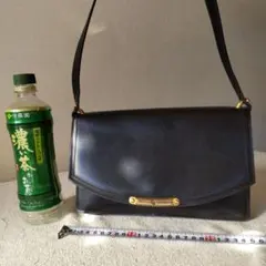 Item thumbnail for item 2e0c9b0b-a4fc-4937-97dd-ce9f57062450