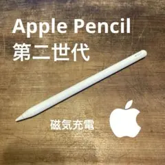 Apple Pencil ホワイト　第二世代　アップルペンシル（動作未確認）純正