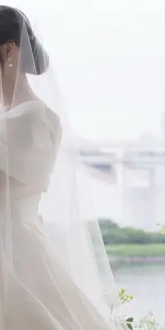 MIRROR MIRROR ベール　80×250