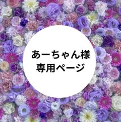 【あーちゃん様　専用】