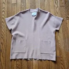 BEIGE, ベージュ Vネック 半袖ニット 4のサムネイル