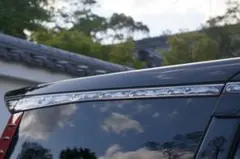 ぴよぴよ様専用