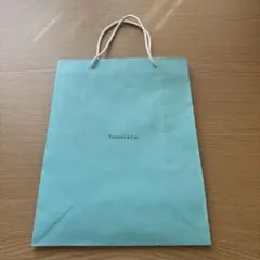 Tiffany & Co. 水色 ショッピングバッグ