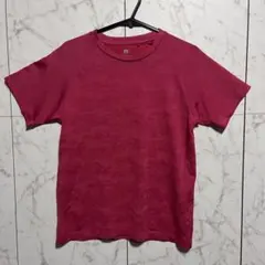 UNIQLO 上下2点セット ドライTシャツ ハーフパンツ 運動 スポーツ 女子