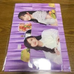 乃木坂46 My respect 購入特典 クリアファイル 一ノ瀬美空 井上和