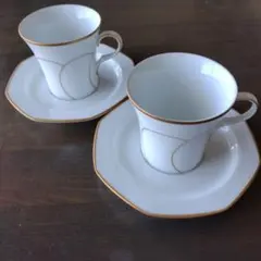 HOYA カップ&ソーサー　２脚組
