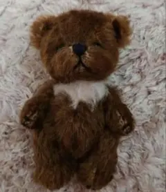 テディベア ハンドメイド 作家 ai bear トイプードル 犬 17㎝ いぬ