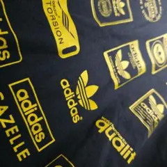 Item thumbnail for item c88598d8-0d82-42bd-b8b5-7c955b4a70c9