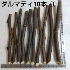 ✅️レトロマン│価格交渉可・基本即購入可様 リクエスト 3点 まとめ商品