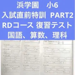 しんしん様 リクエスト 2点 まとめ商品