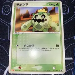 2026年最新】064/PCG-P サボネアの人気アイテム - メルカリ