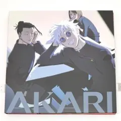 崎山蒼志グッズ LIVE】崎山蒼志 弾き語りツアー2025『ダイアリー』 オフィシャルグッズ