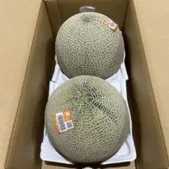 960茨城県産旭村クインシーメロン(赤肉) 秀品5Lサイズ1箱2玉入のサムネイル