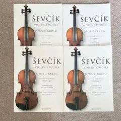 いちご様 リクエスト 2点 まとめ商品