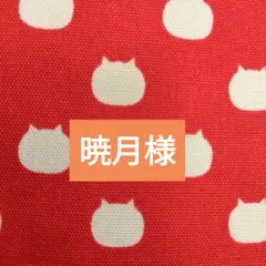 暁月(病み上がり&常に繁忙期)様 リクエスト 2点 おまとめ商品