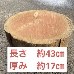 山桜 桜 丸太 輪切り 切り株 薪割り台 生木 素材 DIY - メルカリ