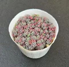 まーやす様 リクエスト 3点 まとめ商品