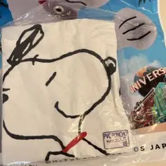 レア❤️ USJ限定 スヌーピー レインコート ポンチョ 雨具 防寒具 なりきり