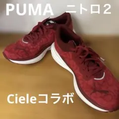 2026年最新】PUMA ディヴィエイト ニトロ 2 の人気アイテム - メルカリ