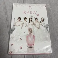 希少限定400枚】KARA 3Dポスターパネル ファミマ当選品 - メルカリ