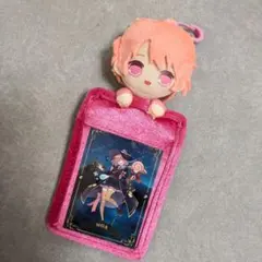 カラフルピーチ　のあ　のあさん　ぬいぐるみパスケース　カード　魔法等身　トレカ