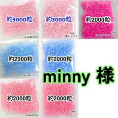 minny 様・専用