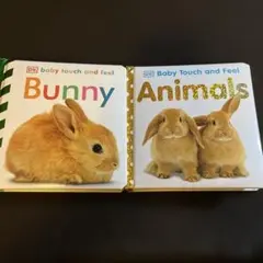 DK baby touch and feel Bunny / Animals