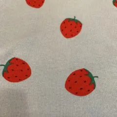 リブニット生地 緑