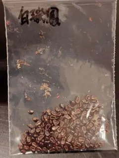 ちくわぶ様 リクエスト 2点 まとめ商品