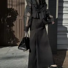 【WILLFULLY】オケージョンドレス　ブラックシースルーフリルドレス