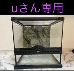 2025年最新】グラステラリウム3030の人気アイテム - メルカリ