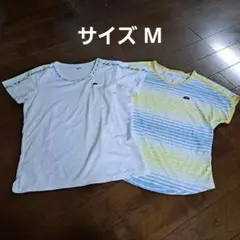 Item thumbnail for item 833827d2-8cb8-4841-bcad-8ae2f26c3d29