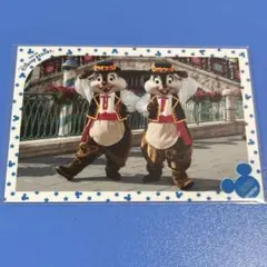 ディズニー TDS スペシャルフォト 2010 チップ デール
