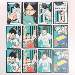 ハイキュー ボードゲーム 援 国見英 金田一勇太郎 青葉城西 青城 ボドゲ 原作