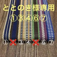 ととのき様専用 平紐五色セット