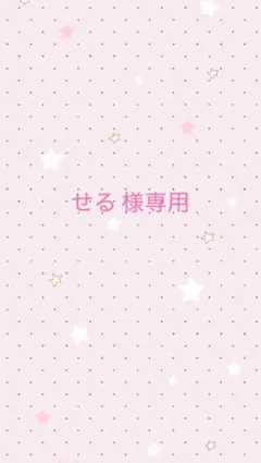 専用ページ
