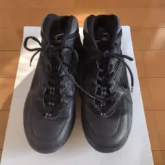 MIZUNO フィットネスウェーブダイバーズ　24.5cm