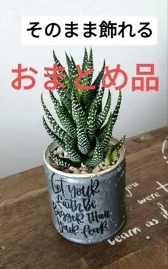 なっつん様 リクエスト 2点 まとめ商品